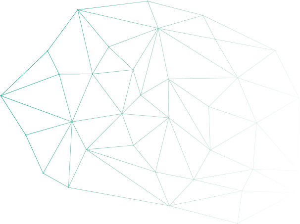 Services - net EM Group