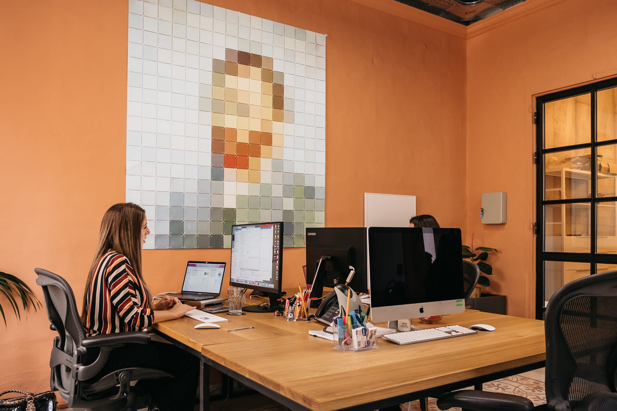 What are the 4 C's of risk management